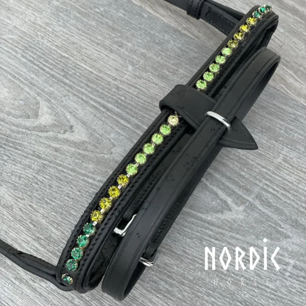 Engelsk/Kombinerad nosgrimma Vår