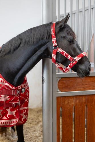 Horse Guard Christmas-grimma
