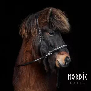 Sidepull med stenar