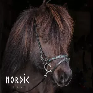 Kombinerad nosgrimma med stora stenar