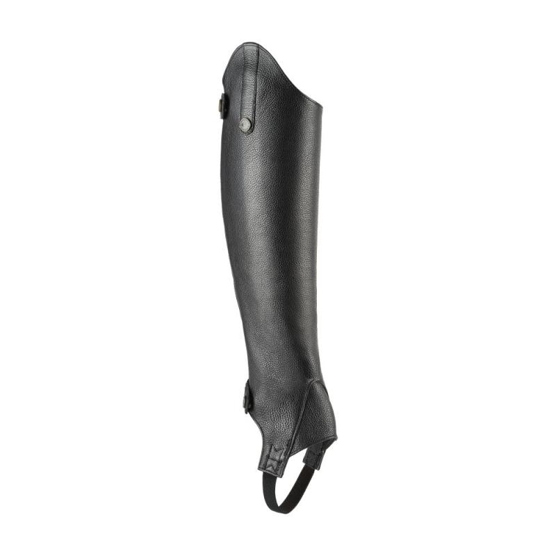 MORETTA SHORTCHAPS