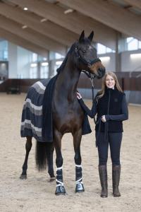 Horse Guard Angel-Grimma