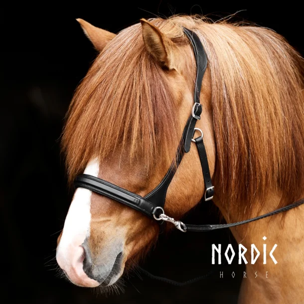 Sidepull Nordic Horse