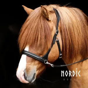 Sidepull Nordic Horse