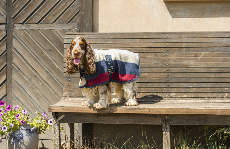 Hundtäcke i polarfleece