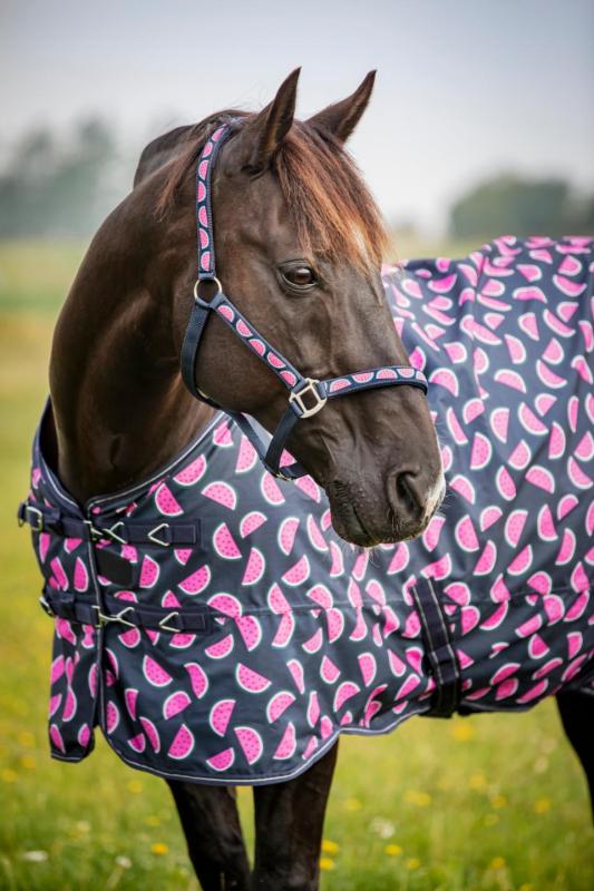 Horse Guard Melon utetäcke, standard hals, 0 g
