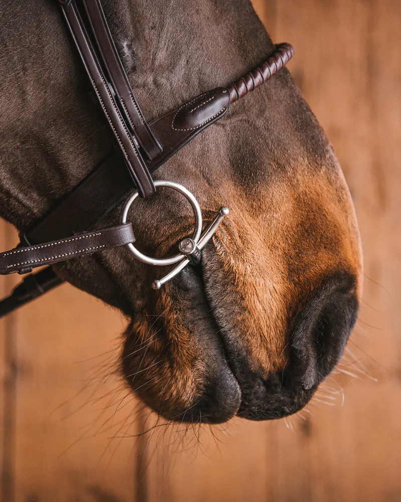 Fagers Mattias Sötmalm Baby Fulmer