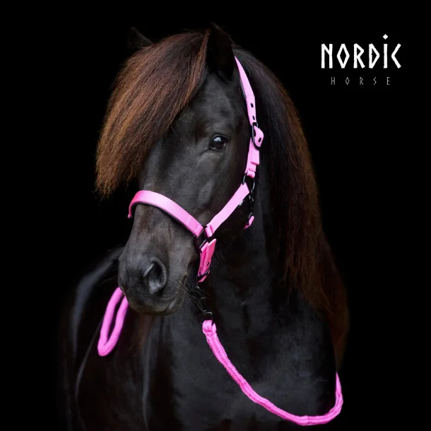 Nordic Horse Nylongrimma