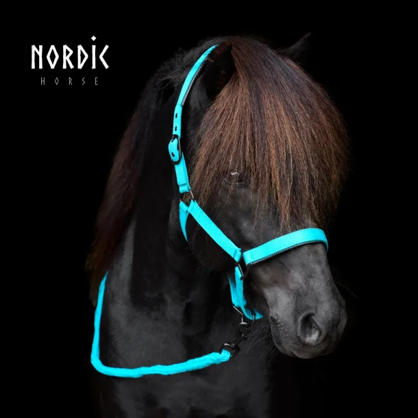 Nordic Horse Nylongrimma
