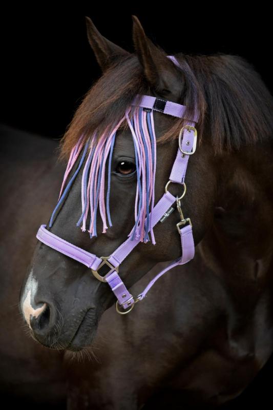 Horse Guard Malva flugpannband med fransar