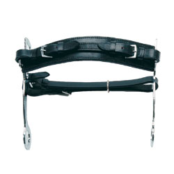 Hackamore