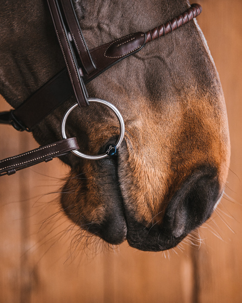 Fagers Oscar Titan lösa ringar