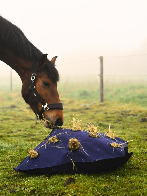 Horse Guard Pillow höpåse