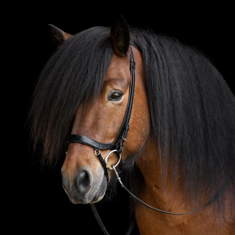 Hrimnir Heritage Anatomisk nosgrimma