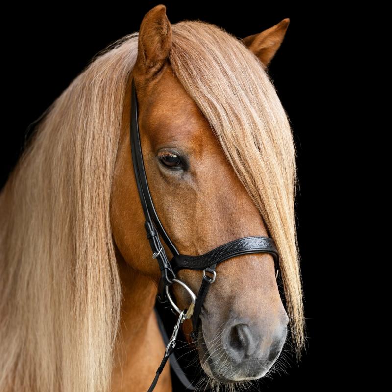 Hrimnir Heritage Anatomisk nosgrimma