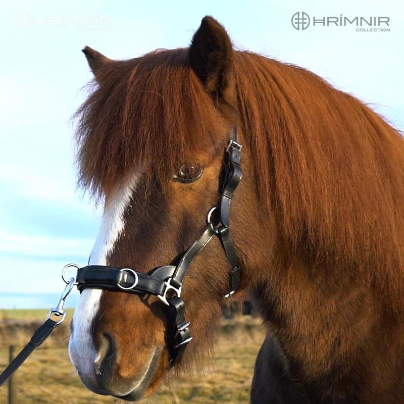 Hrimnir Atlas Multi Kapson