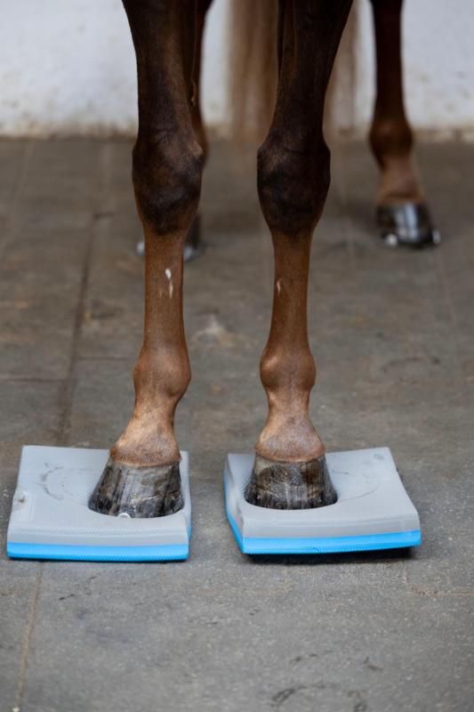 Horse Guard Balance pads, 2-pack