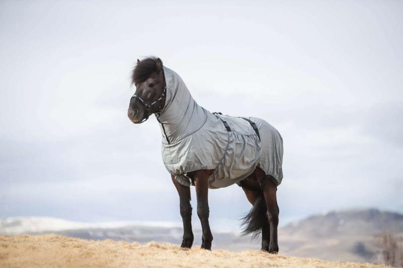 Eksemtäcke Top Reiter Grå