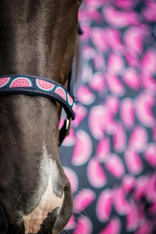 Horse Guard Melon-Grimma