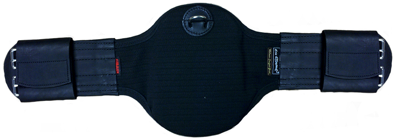 Dressyrgjord Eric Le Tixerant