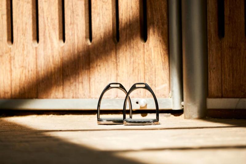 HorseGuard Fillis Stigbygel