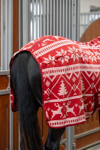 Horse Guard Christmas-fleecetäcke