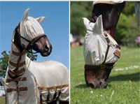 Flughuva i nät med öron