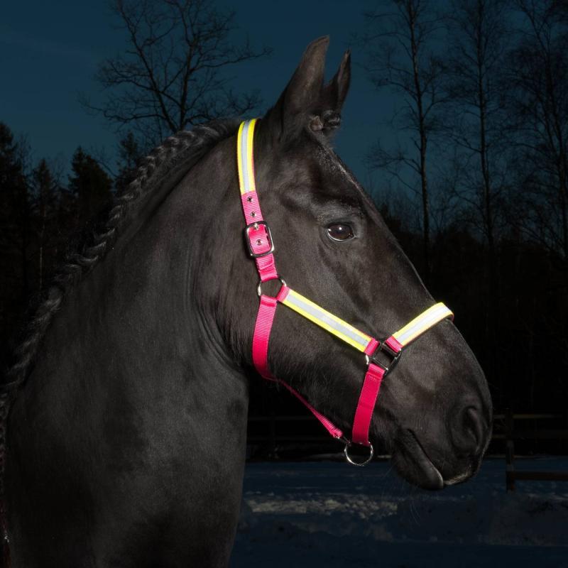 Grimma Rex Reflexgrimma