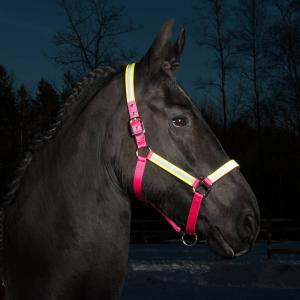 Grimma Rex Reflexgrimma