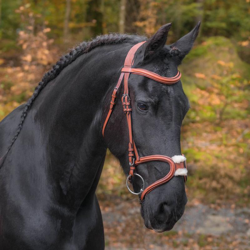 Träns Globus Ulrika