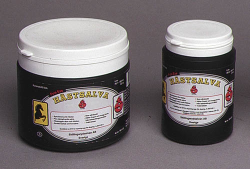 Hästsalva