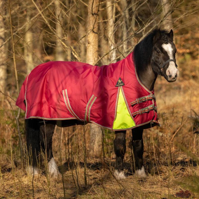 Regntäcke Globus Tarzan 0 gram