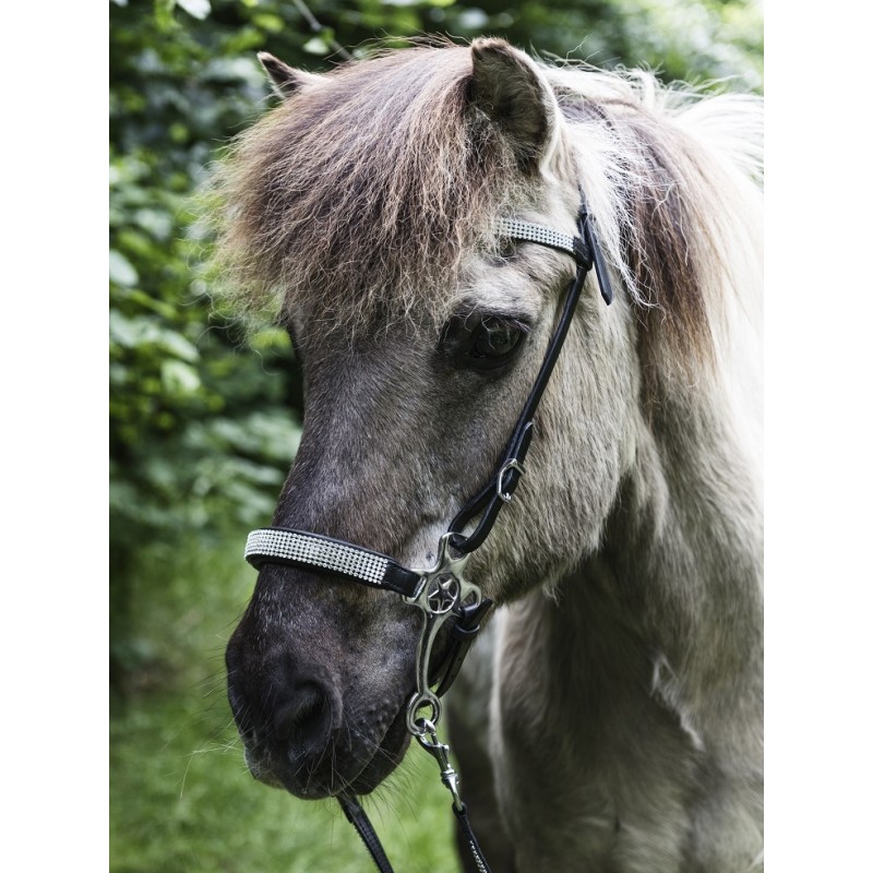 Hackamore med stenar från Nordic Horse