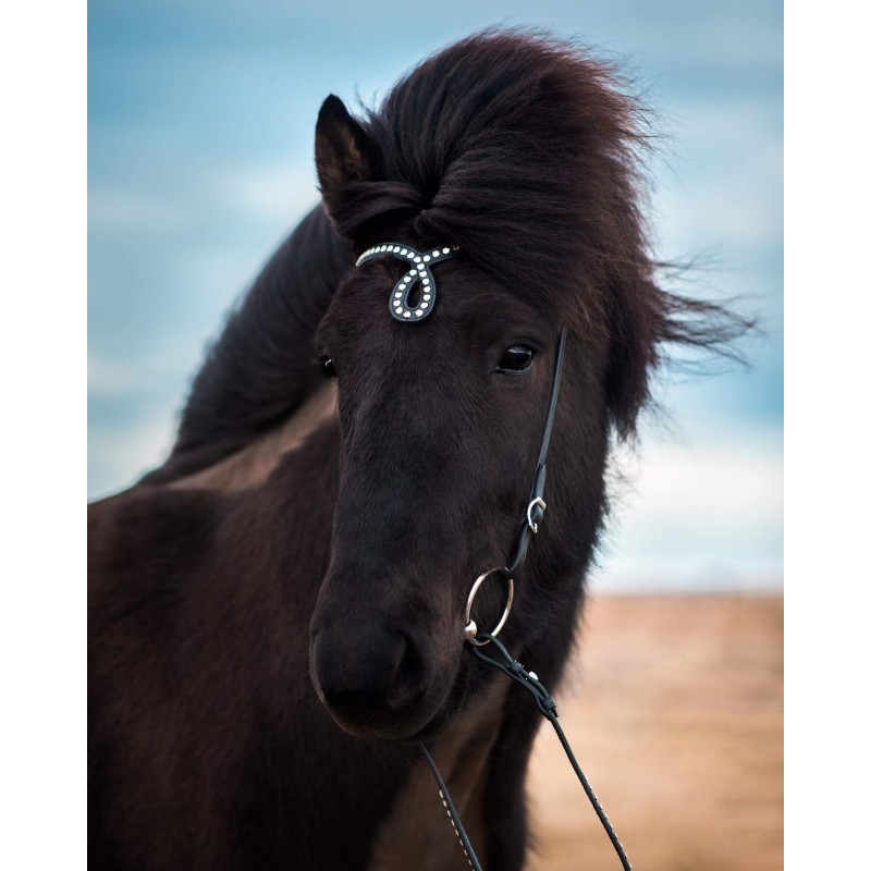 Huvudlag med svängt pannband och stenar