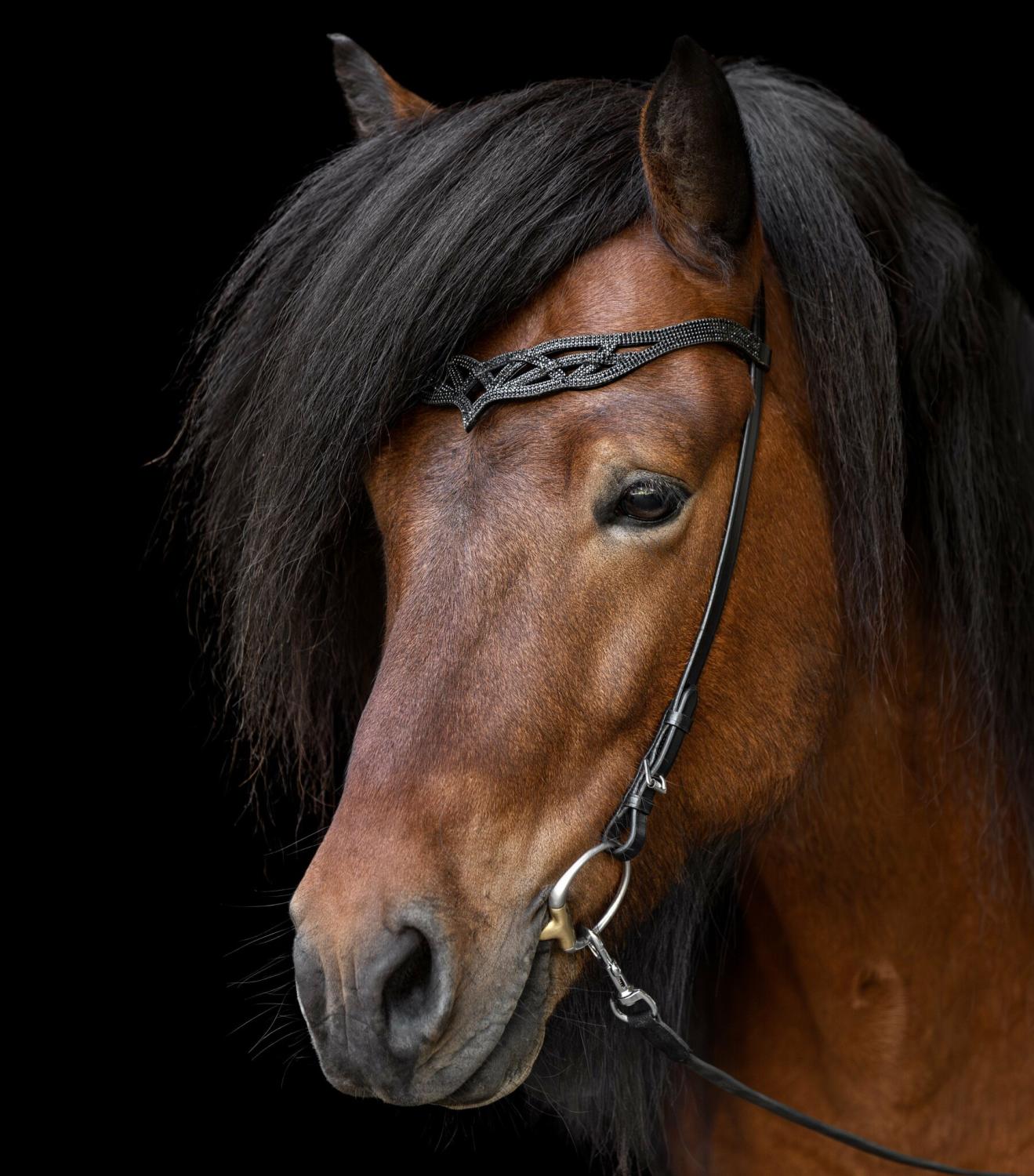 Hrimnir Huvudlag Heritage B Lava