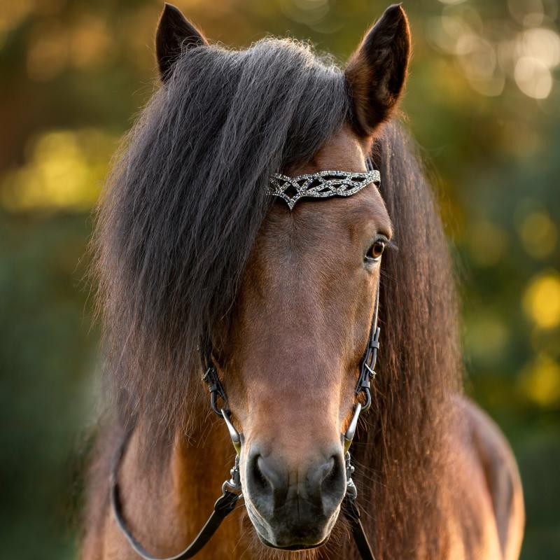 Hrimnir Huvudlag Heritage B Fire & Ice