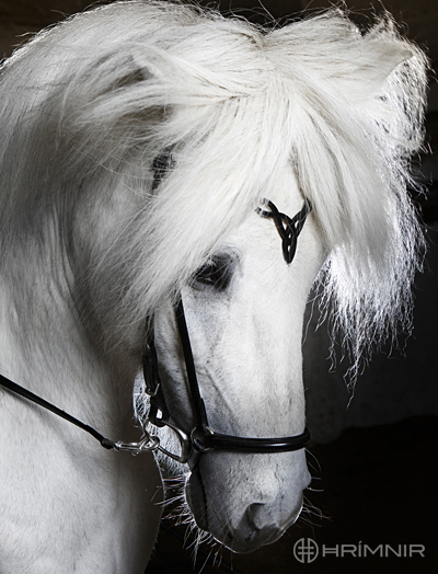 Hrimnir Huvudlag Heritage D