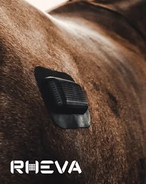 Rheva Sårskydd Kombi 2 st. Small 5x7 cm, 2 st. Large 7x10 cm