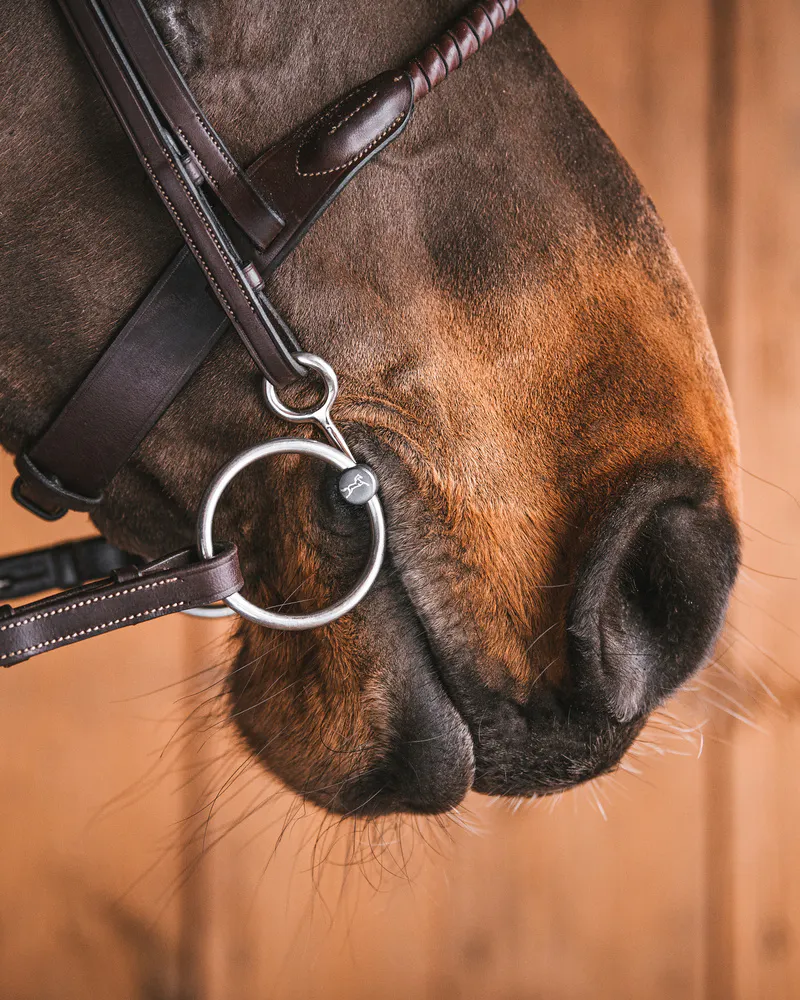 Fagers Fredric Titanium Loose Baucher