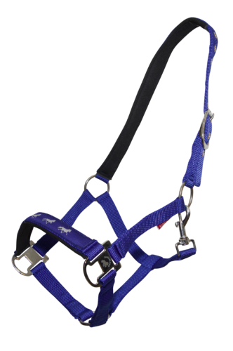 Fodrad grimma Karlslund med islandshästens gångarter