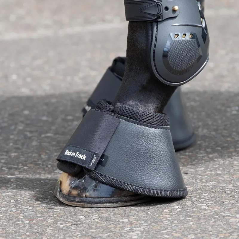 Hästboots