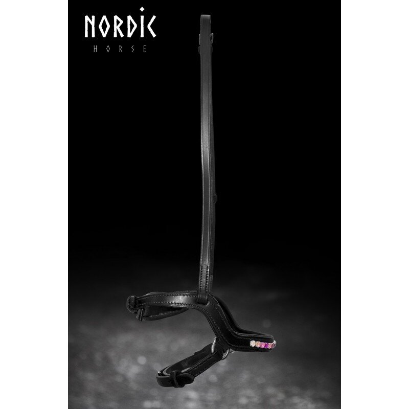 Anatomisk nosgrimma kombinerad rainbow