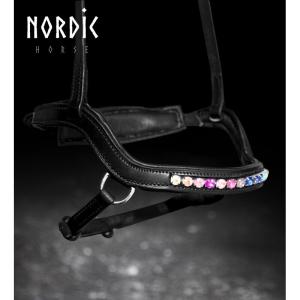 Anatomisk nosgrimma kombinerad rainbow
