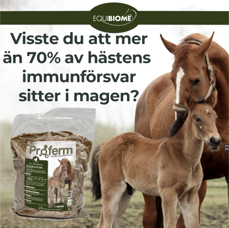 Proferm Equibiome