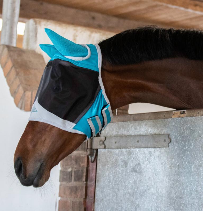 Shires Flughuva med öron