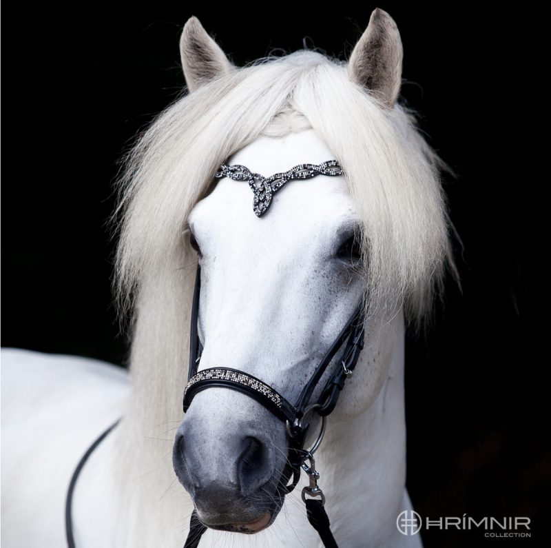 Nosgrimma Hrimnir Fire and Ice