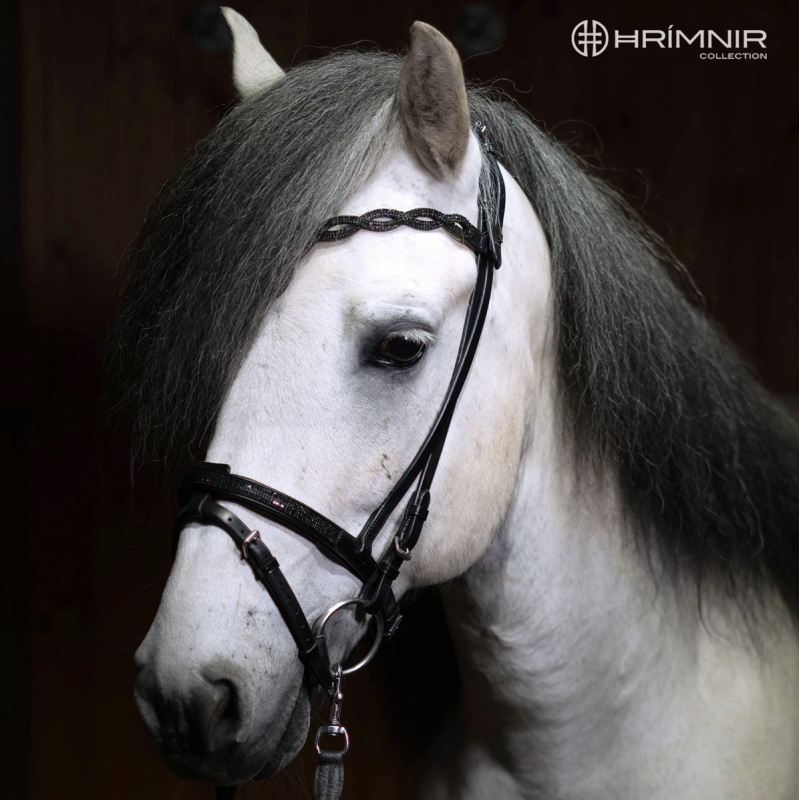 Kombinerad nosgrimma Hrimnir Lava