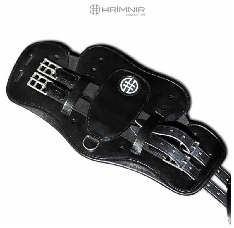 Hrimnir sadelgjord Wings