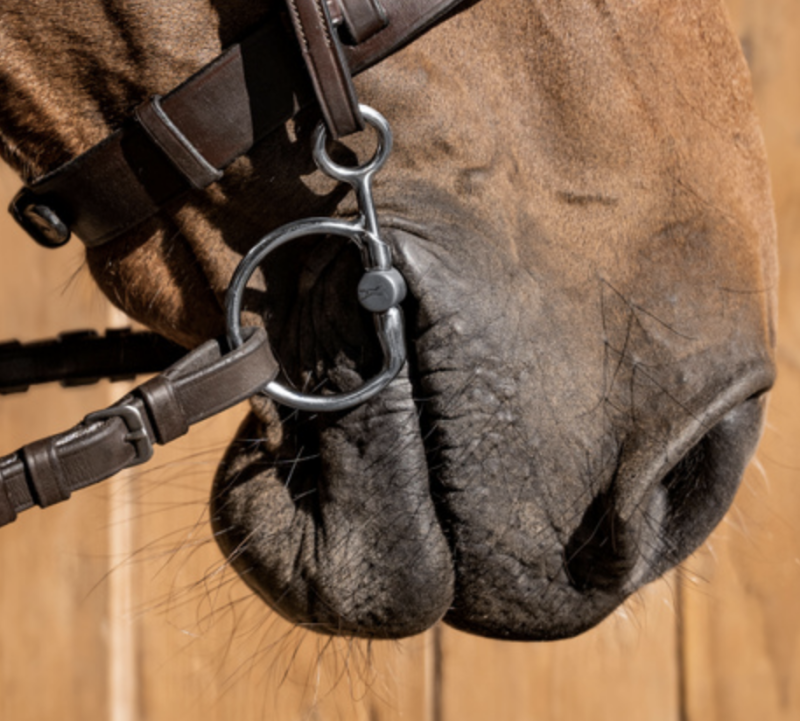 Fagers Sara Titanium Baucher