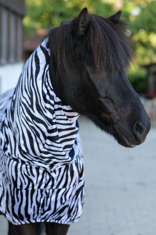 Top Reiter Eksemtäcke "Randalin"